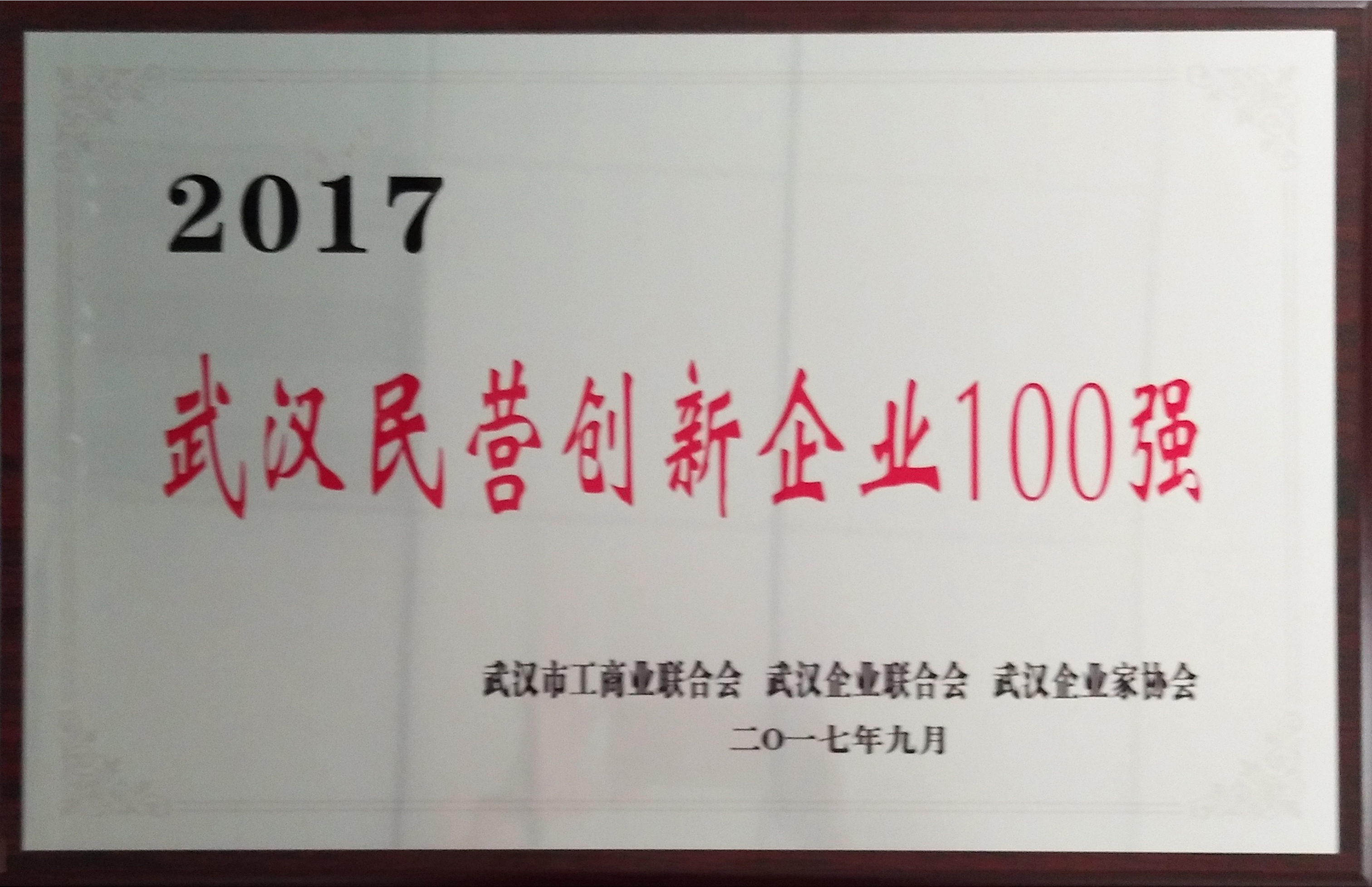 2017年武汉市民营创新100强